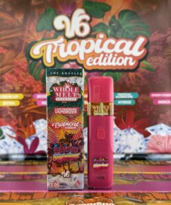 sticky stardust tropical edition v6 disposable (2026 release) indica